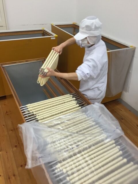 五島手延べうどん240g×5袋 1袋約3人分 計約15人分 マルマス